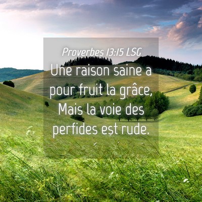 Picture 04 - Proverbes 13:15 LSG - Une raison saine a pour fruit la grâce, Mais la - Bible Verse Picture