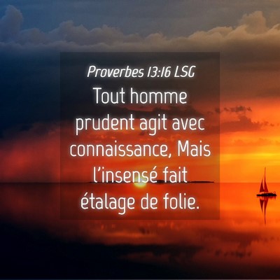 Picture 04 - Proverbes 13:16 LSG - Tout homme prudent agit avec connaissance, Mais - Bible Verse Picture