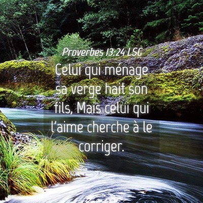 Picture 04 - Proverbes 13:24 LSG - Celui qui ménage sa verge hait son fils, Mais - Bible Verse Picture