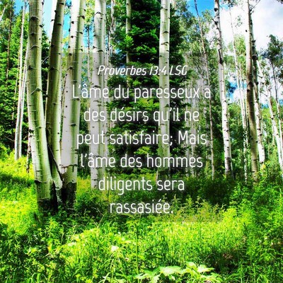Picture 04 - Proverbes 13:4 LSG - L'âme du paresseux a des désirs qu'il ne peut - Bible Verse Picture