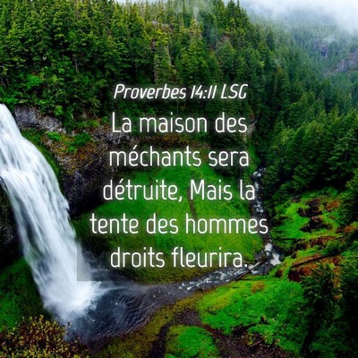 Picture 04 - Proverbes 14:11 LSG - La maison des méchants sera détruite, Mais la - Bible Verse Picture