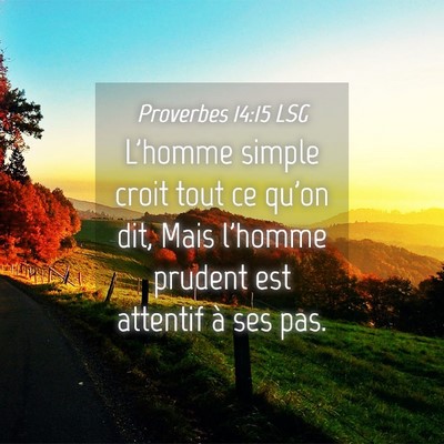 Picture 04 - Proverbes 14:15 LSG - L'homme simple croit tout ce qu'on dit, Mais - Bible Verse Picture