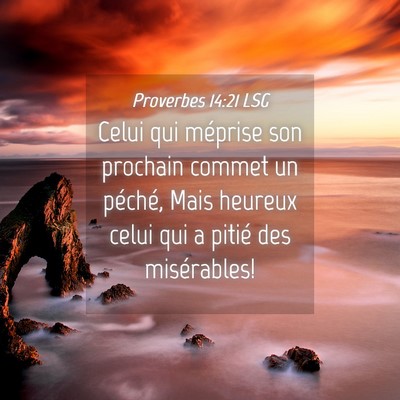 Picture 04 - Proverbes 14:21 LSG - Celui qui méprise son prochain commet un - Bible Verse Picture