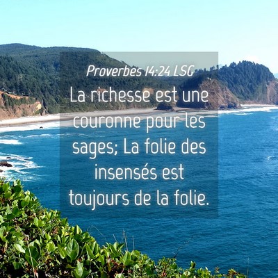 Picture 04 - Proverbes 14:24 LSG - La richesse est une couronne pour les sages; La - Bible Verse Picture