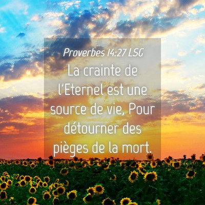 Picture 04 - Proverbes 14:27 LSG - La crainte de l'Eternel est une source de vie, - Bible Verse Picture