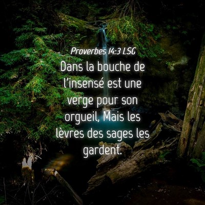 Picture 04 - Proverbes 14:3 LSG - Dans la bouche de l'insensé est une verge pour - Bible Verse Picture