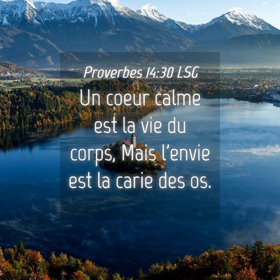 Picture 04 - Proverbes 14:30 LSG - Un coeur calme est la vie du corps, Mais l'envie - Bible Verse Picture