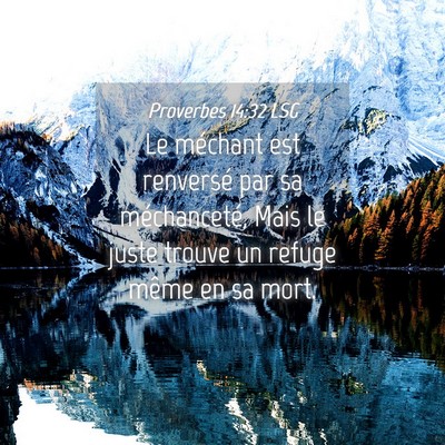 Picture 04 - Proverbes 14:32 LSG - Le méchant est renversé par sa méchanceté, - Bible Verse Picture