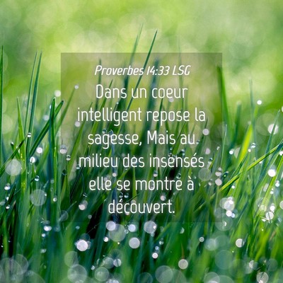 Picture 04 - Proverbes 14:33 LSG - Dans un coeur intelligent repose la sagesse, Mais - Bible Verse Picture
