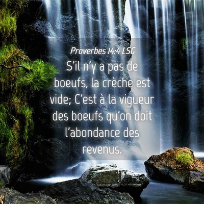Picture 04 - Proverbes 14:4 LSG - S'il n'y a pas de boeufs, la crèche est vide; - Bible Verse Picture