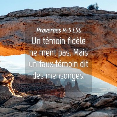 Picture 04 - Proverbes 14:5 LSG - Un témoin fidèle ne ment pas, Mais un faux - Bible Verse Picture