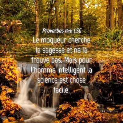 Picture 04 - Proverbes 14:6 LSG - Le moqueur cherche la sagesse et ne la trouve - Bible Verse Picture
