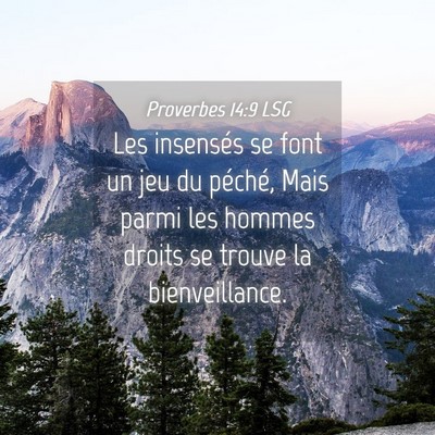 Picture 04 - Proverbes 14:9 LSG - Les insensés se font un jeu du péché, Mais - Bible Verse Picture