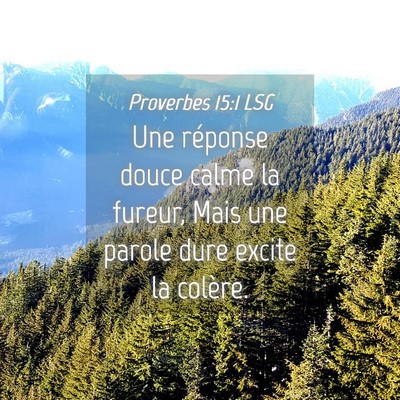 Picture 04 - Proverbes 15:1 LSG - Une réponse douce calme la fureur, Mais une - Bible Verse Picture