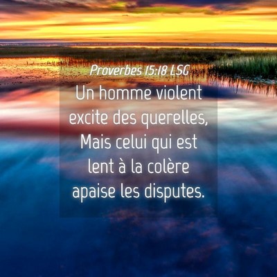 Picture 04 - Proverbes 15:18 LSG - Un homme violent excite des querelles, Mais celui - Bible Verse Picture