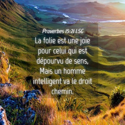 Picture 04 - Proverbes 15:21 LSG - La folie est une joie pour celui qui est - Bible Verse Picture