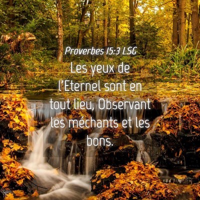 Picture 04 - Proverbes 15:3 LSG - Les yeux de l'Eternel sont en tout lieu, - Bible Verse Picture