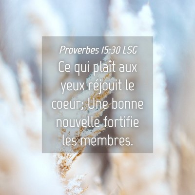 Picture 04 - Proverbes 15:30 LSG - Ce qui plaît aux yeux réjouit le coeur; Une - Bible Verse Picture