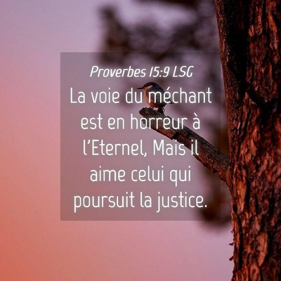 Picture 04 - Proverbes 15:9 LSG - La voie du méchant est en horreur à l'Eternel, - Bible Verse Picture