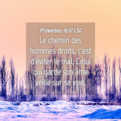 Picture 04 - Proverbes 16:17 LSG - Le chemin des hommes droits, c'est d'éviter le - Bible Verse Picture