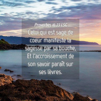 Picture 04 - Proverbes 16:23 LSG - Celui qui est sage de coeur manifeste la sagesse - Bible Verse Picture