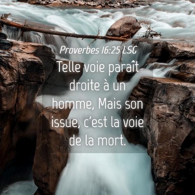 Picture 04 - Proverbes 16:25 LSG - Telle voie paraît droite à un homme, Mais son - Bible Verse Picture