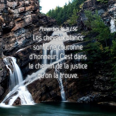 Picture 04 - Proverbes 16:31 LSG - Les cheveux blancs sont une couronne d'honneur; - Bible Verse Picture