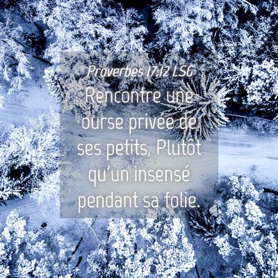 Picture 04 - Proverbes 17:12 LSG - Rencontre une ourse privée de ses petits, - Bible Verse Picture