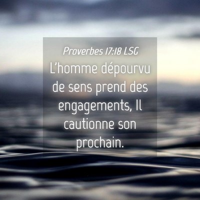 Picture 04 - Proverbes 17:18 LSG - L'homme dépourvu de sens prend des engagements, - Bible Verse Picture