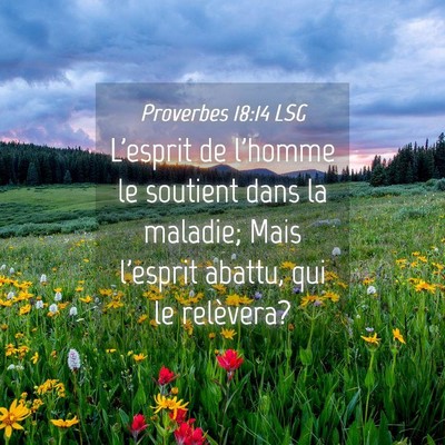 Picture 04 - Proverbes 18:14 LSG - L'esprit de l'homme le soutient dans la maladie; - Bible Verse Picture