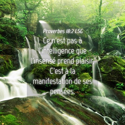Picture 04 - Proverbes 18:2 LSG - Ce n'est pas à l'intelligence que l'insensé - Bible Verse Picture