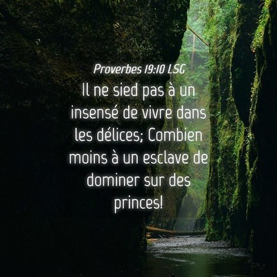 Picture 04 - Proverbes 19:10 LSG - Il ne sied pas à un insensé de vivre dans les - Bible Verse Picture