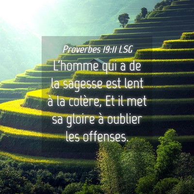 Picture 04 - Proverbes 19:11 LSG - L'homme qui a de la sagesse est lent à la - Bible Verse Picture