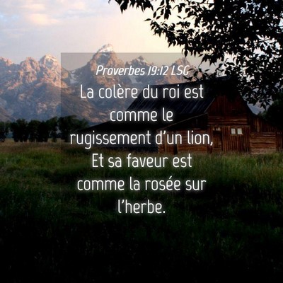 Picture 04 - Proverbes 19:12 LSG - La colère du roi est comme le rugissement d'un - Bible Verse Picture