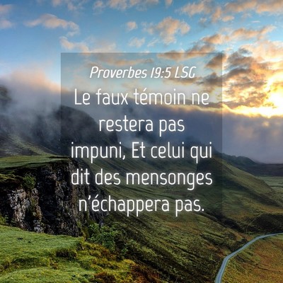 Picture 04 - Proverbes 19:5 LSG - Le faux témoin ne restera pas impuni, Et celui - Bible Verse Picture