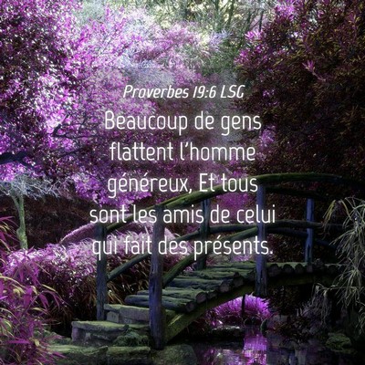 Picture 04 - Proverbes 19:6 LSG - Beaucoup de gens flattent l'homme généreux, Et - Bible Verse Picture
