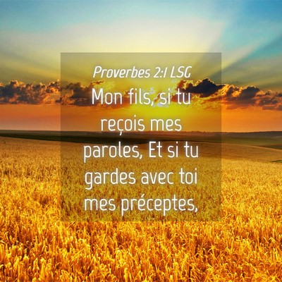 Picture 04 - Proverbes 2:1 LSG - Mon fils, si tu reçois mes paroles, Et si tu - Bible Verse Picture