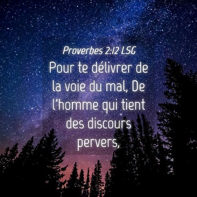 Picture 04 - Proverbes 2:12 LSG - Pour te délivrer de la voie du mal, De l'homme - Bible Verse Picture