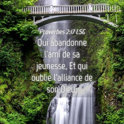 Picture 04 - Proverbes 2:17 LSG - Qui abandonne l'ami de sa jeunesse, Et qui oublie - Bible Verse Picture