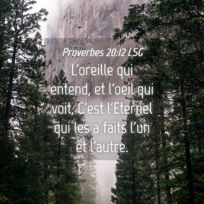 Picture 04 - Proverbes 20:12 LSG - L'oreille qui entend, et l'oeil qui voit, C'est - Bible Verse Picture