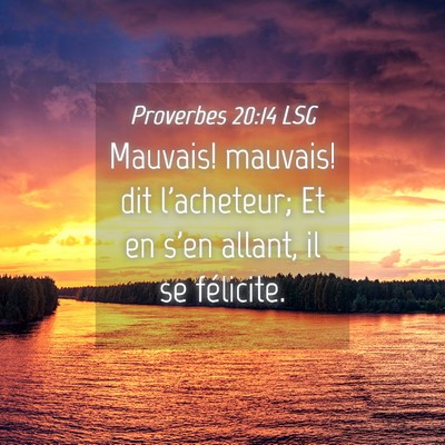 Picture 04 - Proverbes 20:14 LSG - Mauvais! mauvais! dit l'acheteur; Et en s'en - Bible Verse Picture