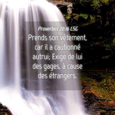 Picture 04 - Proverbes 20:16 LSG - Prends son vêtement, car il a cautionné autrui; - Bible Verse Picture