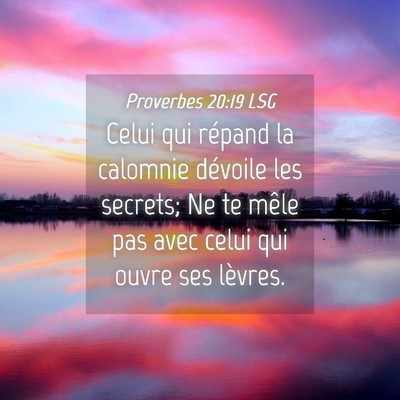 Picture 04 - Proverbes 20:19 LSG - Celui qui répand la calomnie dévoile les - Bible Verse Picture