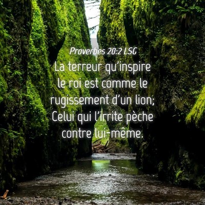 Picture 04 - Proverbes 20:2 LSG - La terreur qu'inspire le roi est comme le - Bible Verse Picture