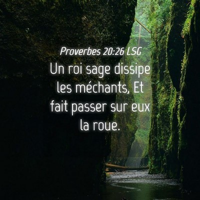 Picture 04 - Proverbes 20:26 LSG - Un roi sage dissipe les méchants, Et fait passer - Bible Verse Picture