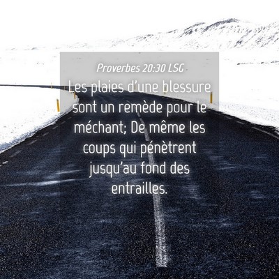 Picture 04 - Proverbes 20:30 LSG - Les plaies d'une blessure sont un remède pour le - Bible Verse Picture