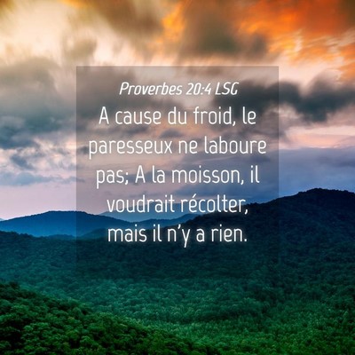 Picture 04 - Proverbes 20:4 LSG - A cause du froid, le paresseux ne laboure pas; A - Bible Verse Picture