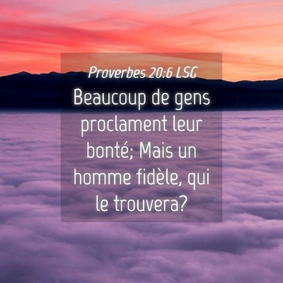 Picture 04 - Proverbes 20:6 LSG - Beaucoup de gens proclament leur bonté; Mais un - Bible Verse Picture