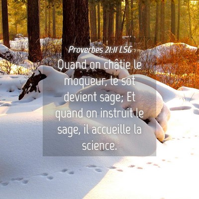 Picture 04 - Proverbes 21:11 LSG - Quand on châtie le moqueur, le sot devient sage; - Bible Verse Picture
