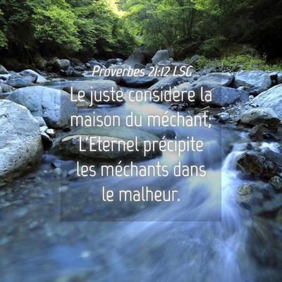 Picture 04 - Proverbes 21:12 LSG - Le juste considère la maison du méchant; - Bible Verse Picture